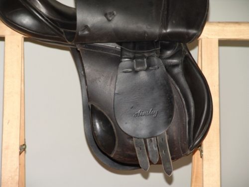 155 Ainsley Popular Ranger
