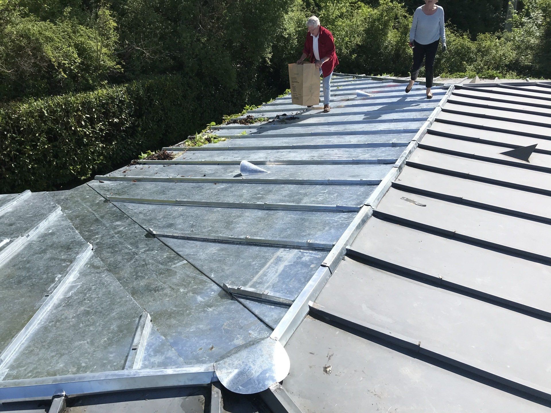 Zinc sur toiture