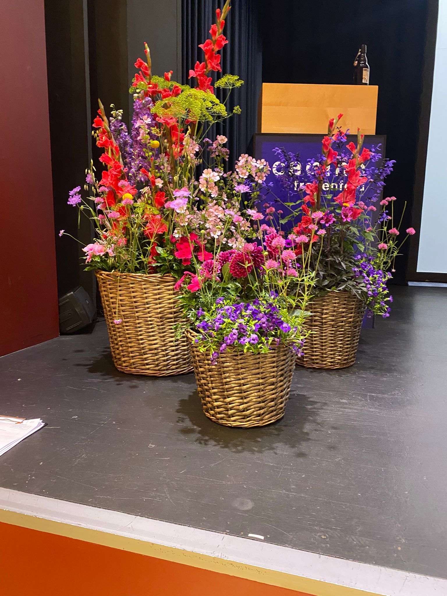Ein moderner Stahlpflanzkasten, gefüllt mit lila, rosa und grünen Blumen und Gräsern, vor einem Glasgewächshaus.