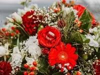 Ein Brautstrauss mit leuchtend roten Rosen, Gerbera-Gänseblümchen, weissem Schleierkraut und einem Paar Eheringen.