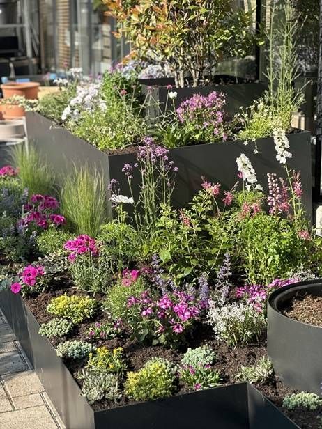Ein gestufter, dunkler Metallpflanzkasten, der auf einer Terrasse mit farbenfrohen Blumen, grünem Laub und Ziergräsern überquillt.