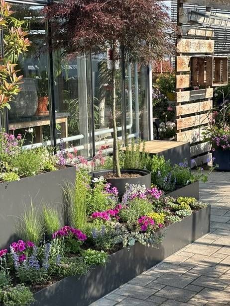 Ein moderner Stahlpflanzkasten, gefüllt mit lila, rosa und grünen Blumen und Gräsern, vor einem Glasgewächshaus.