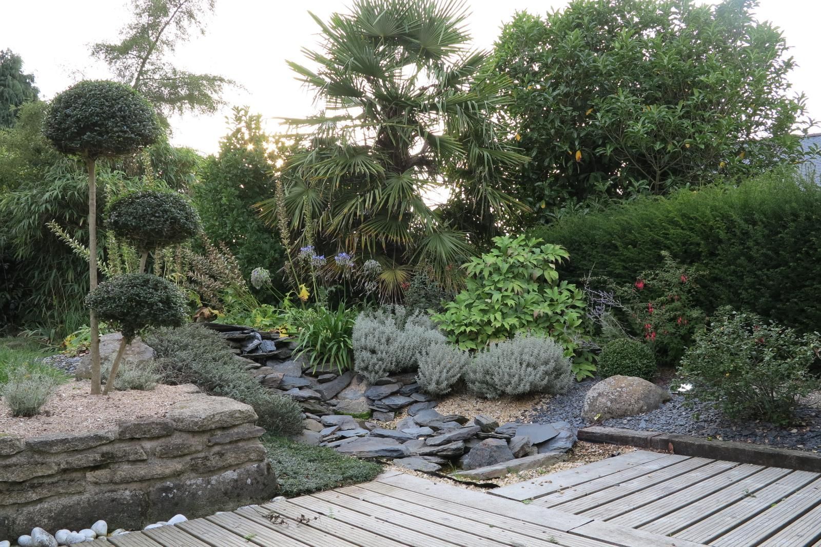 Jardin avec des maçonnerie paysagères et un palmier