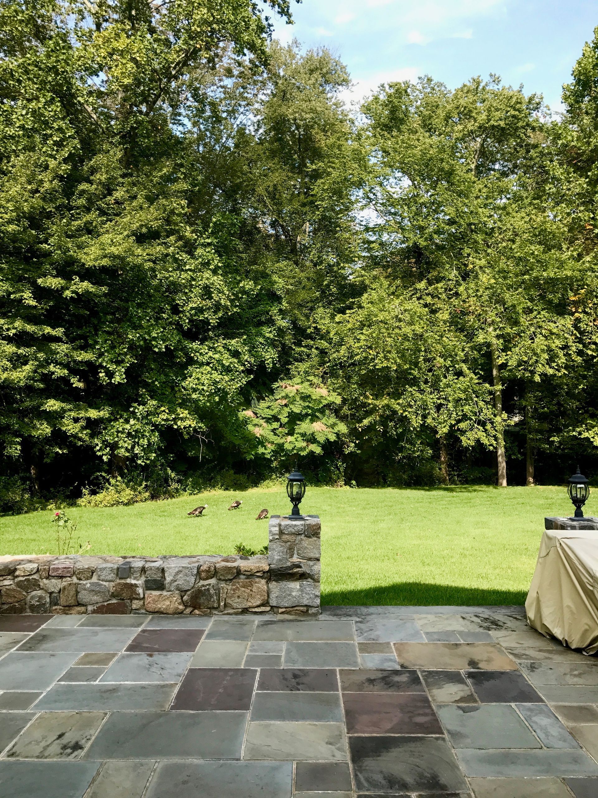 Terrasse en pierre naturelle avec un jardin en arriére plan