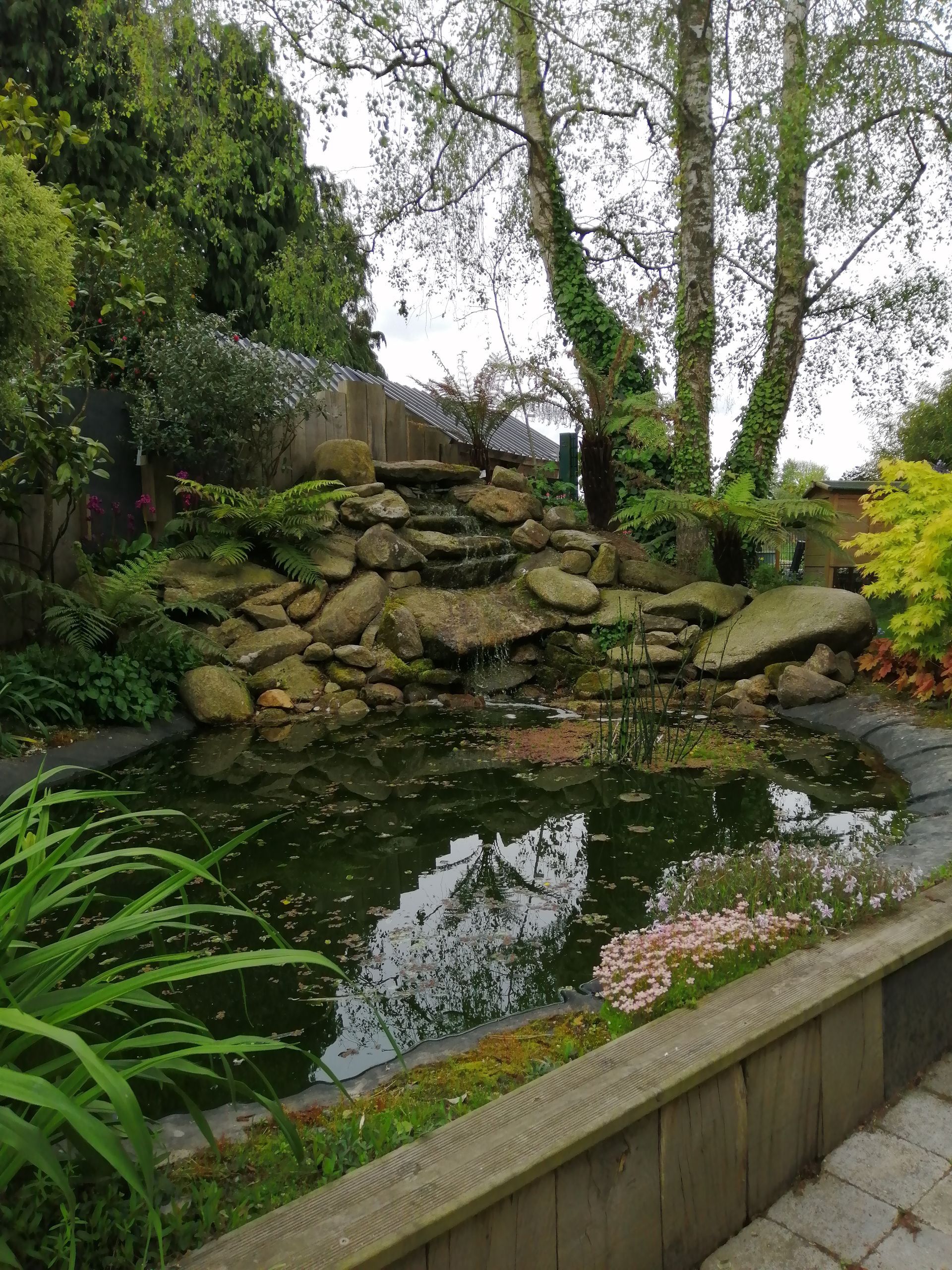Jardin disposant d'une cascade et de différentes plantes