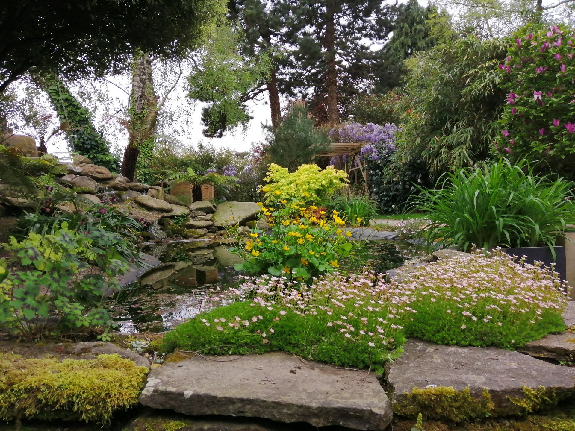 Jardin avec une cascade et des plantes tropicales