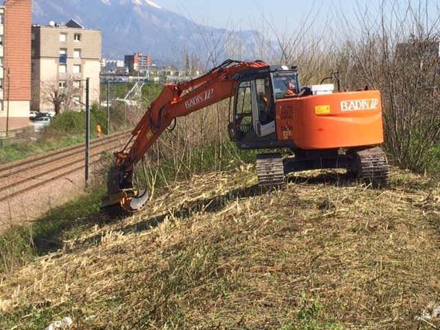 Débroussaillage avec Broyeur forestier