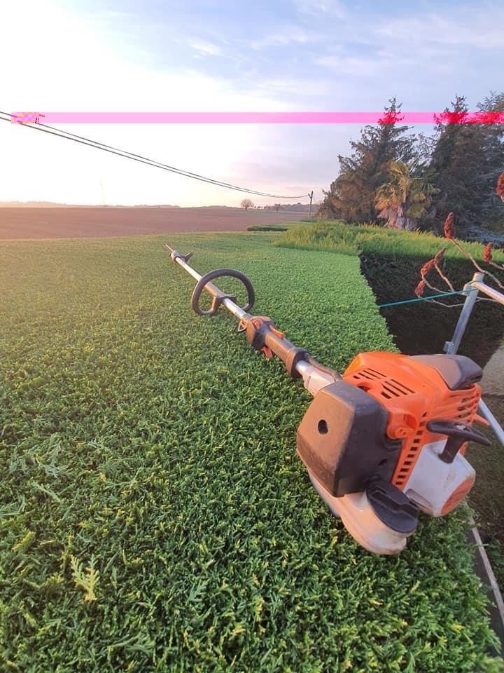 Sécateur électrique