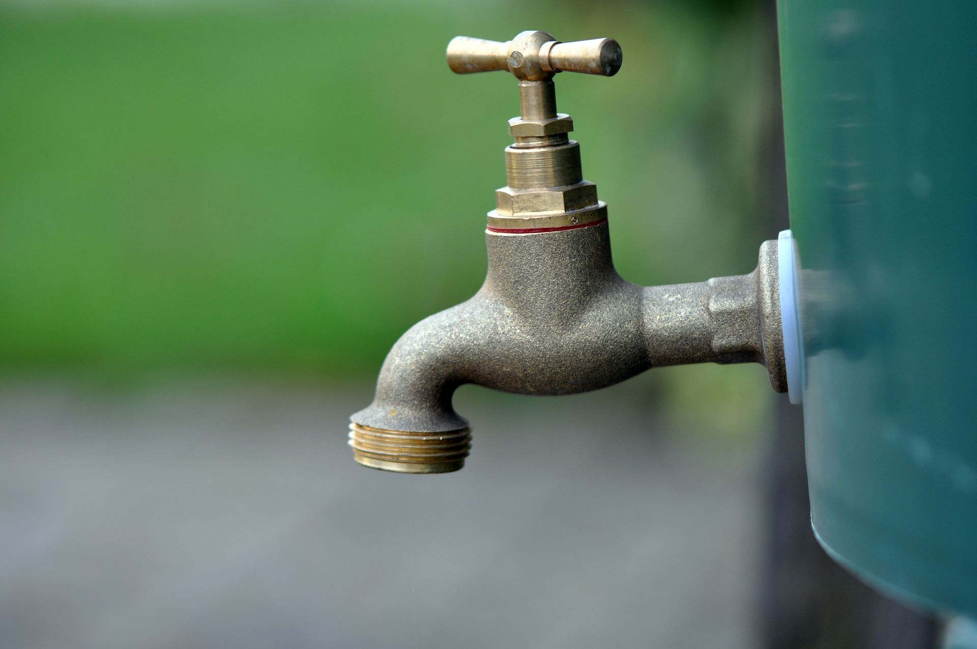 Robinet en laiton fixé à un récipient vert, le tout étant installé à l'extérieur sur un fond vert flou.