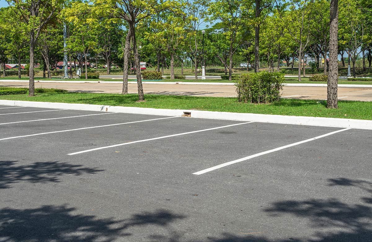 Des places de parking vides, délimitées par des lignes blanches, devant un espace vert arboré.