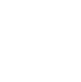 Icon Team