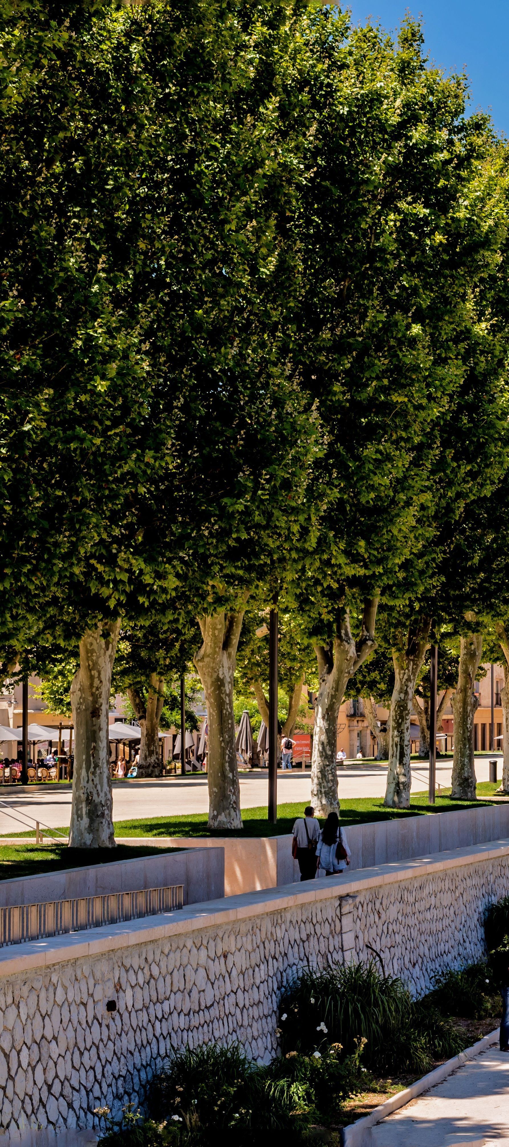 Aménagement d'une ville avec des arbres