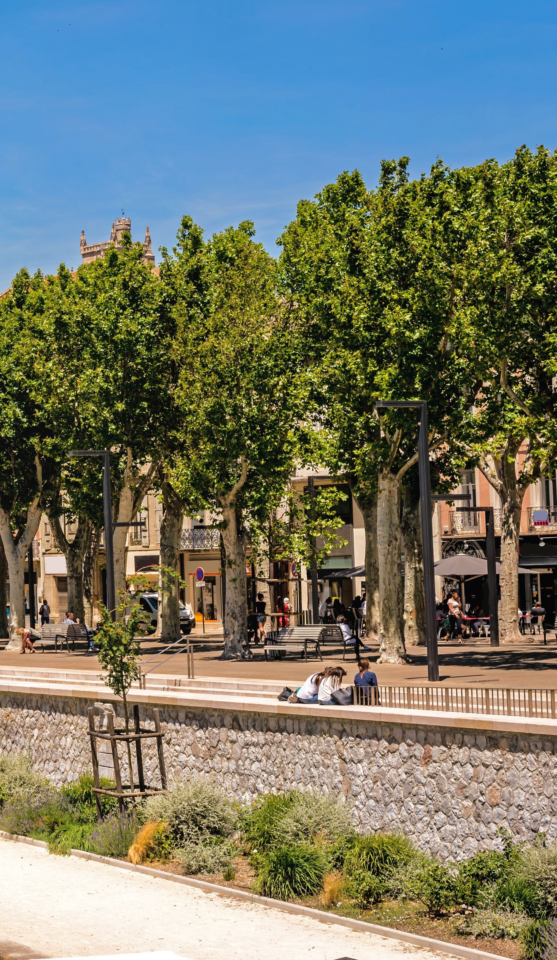 Bord de fleuve arboré
