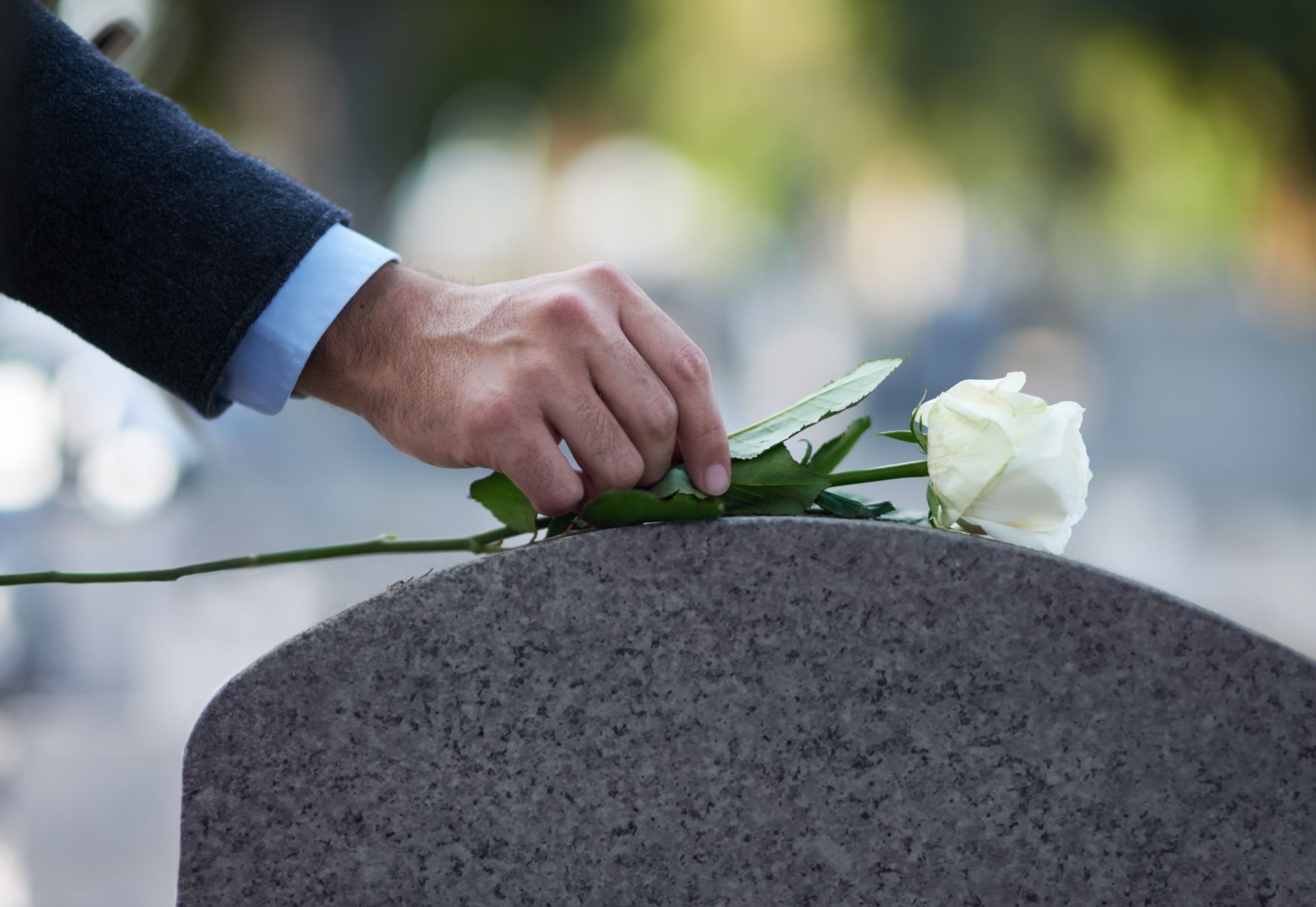 Rose blanche sur une pierre tombale