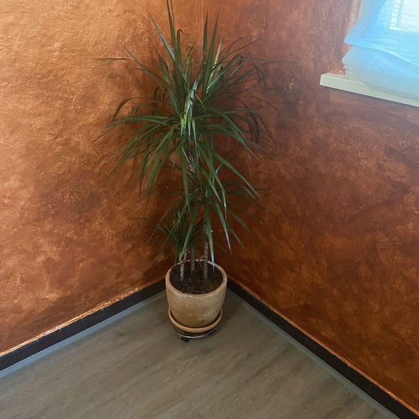 malerarbeiten - malerteam f&c lourenço - baselland