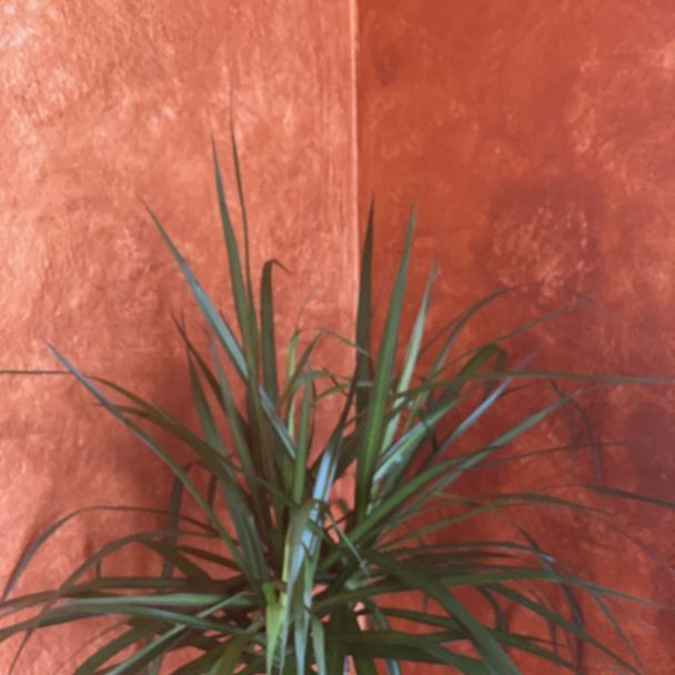 malerarbeiten - malerteam f&c lourenço - baselland