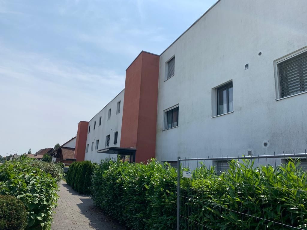 Maler - David Schwarzenberger Bau und Renovation - Gossau