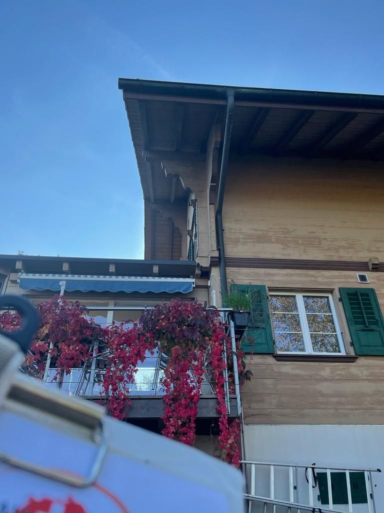 Maler - David Schwarzenberger Bau und Renovation - Gossau