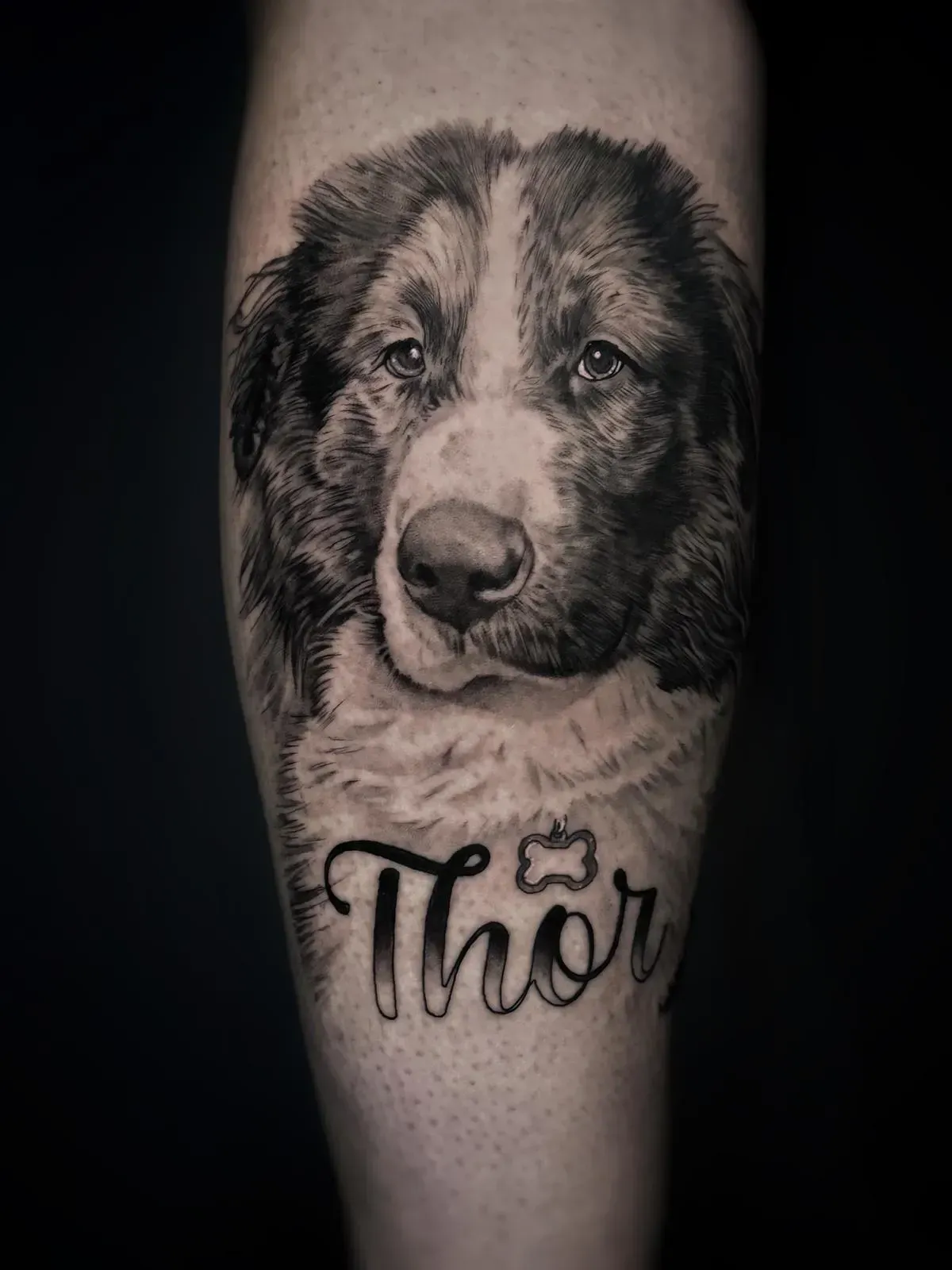 Tatuaje de retrato de un perro en blanco y negro en la pantorrilla, con el nombre «Thor» debajo