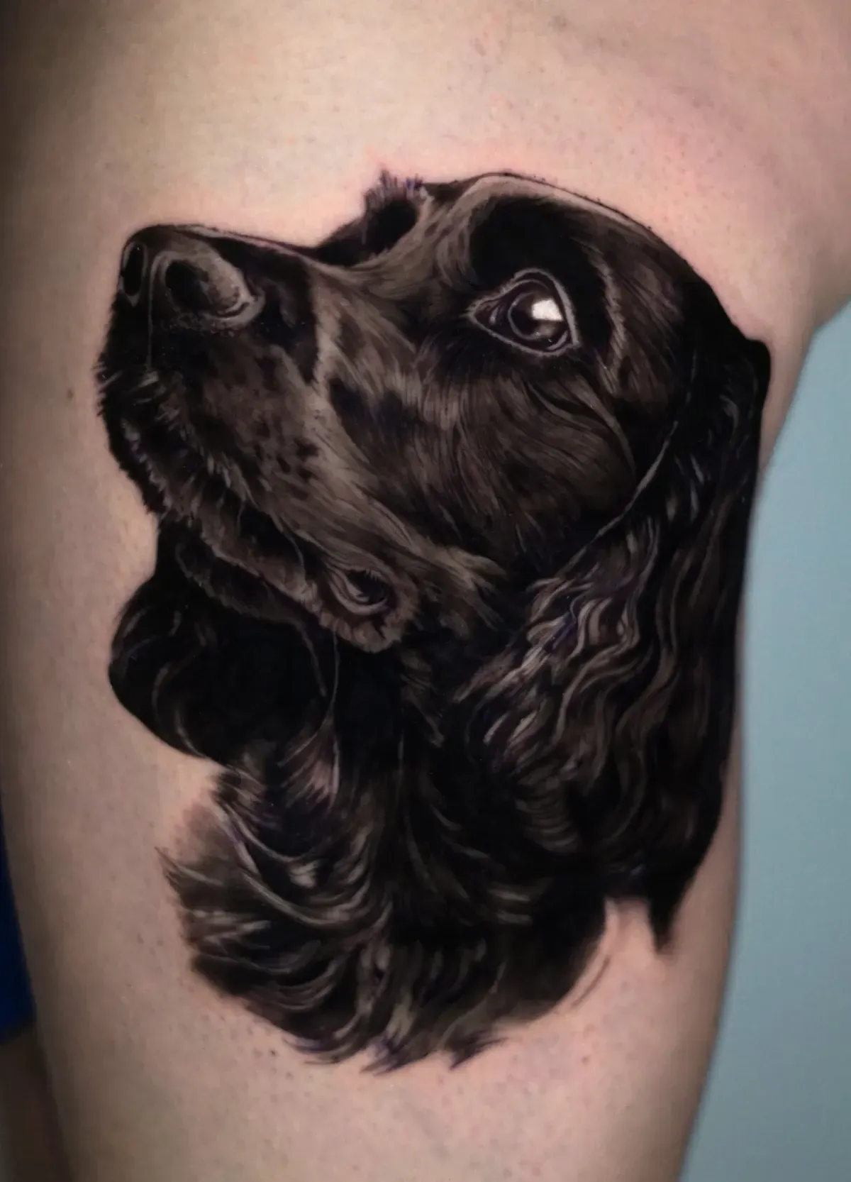 Tatuaje de un perro negro en la piel, con sombreado realista y mirando hacia arriba
