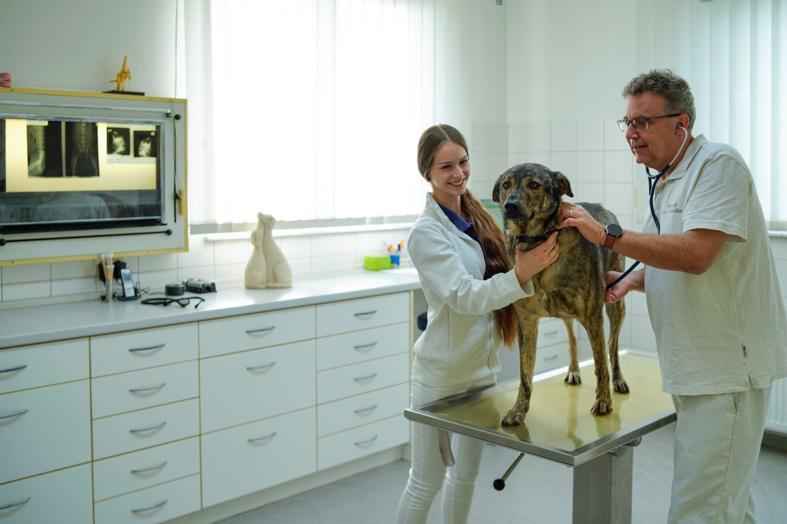 Ein Mann und eine Frau untersuchen in einer Tierklinik einen Hund.