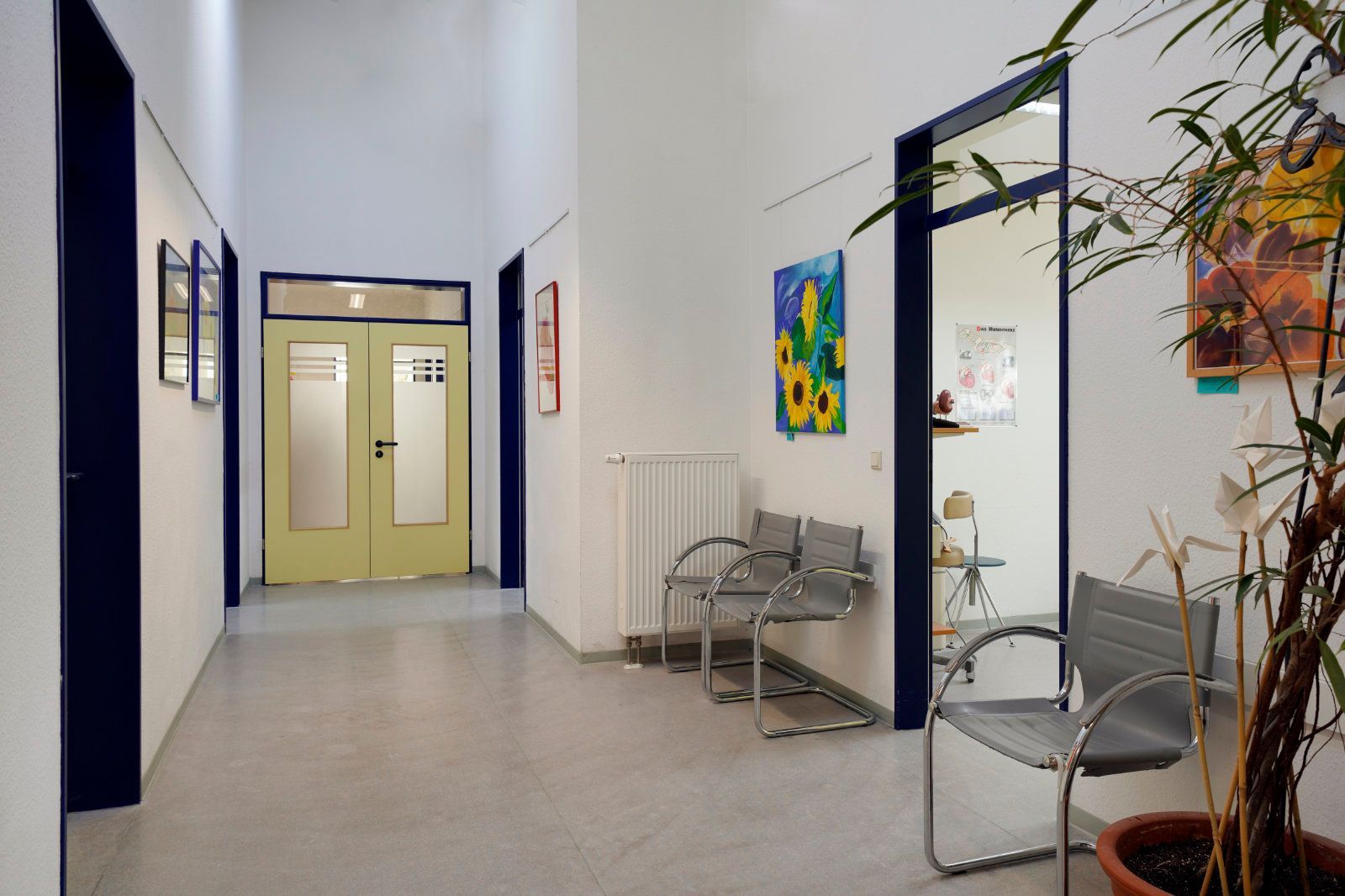 Ein langer Flur mit Stühlen und einer Topfpflanze