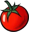 Tomate rojo con tallo y hojas verdes sobre fondo blanco