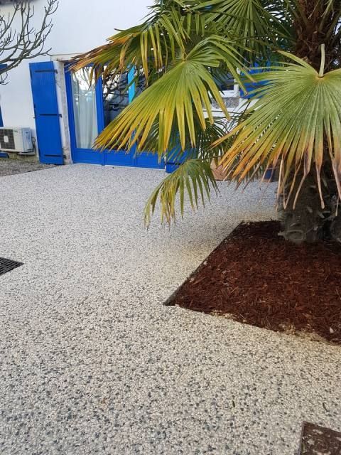 Béton désactivé avec le palmier