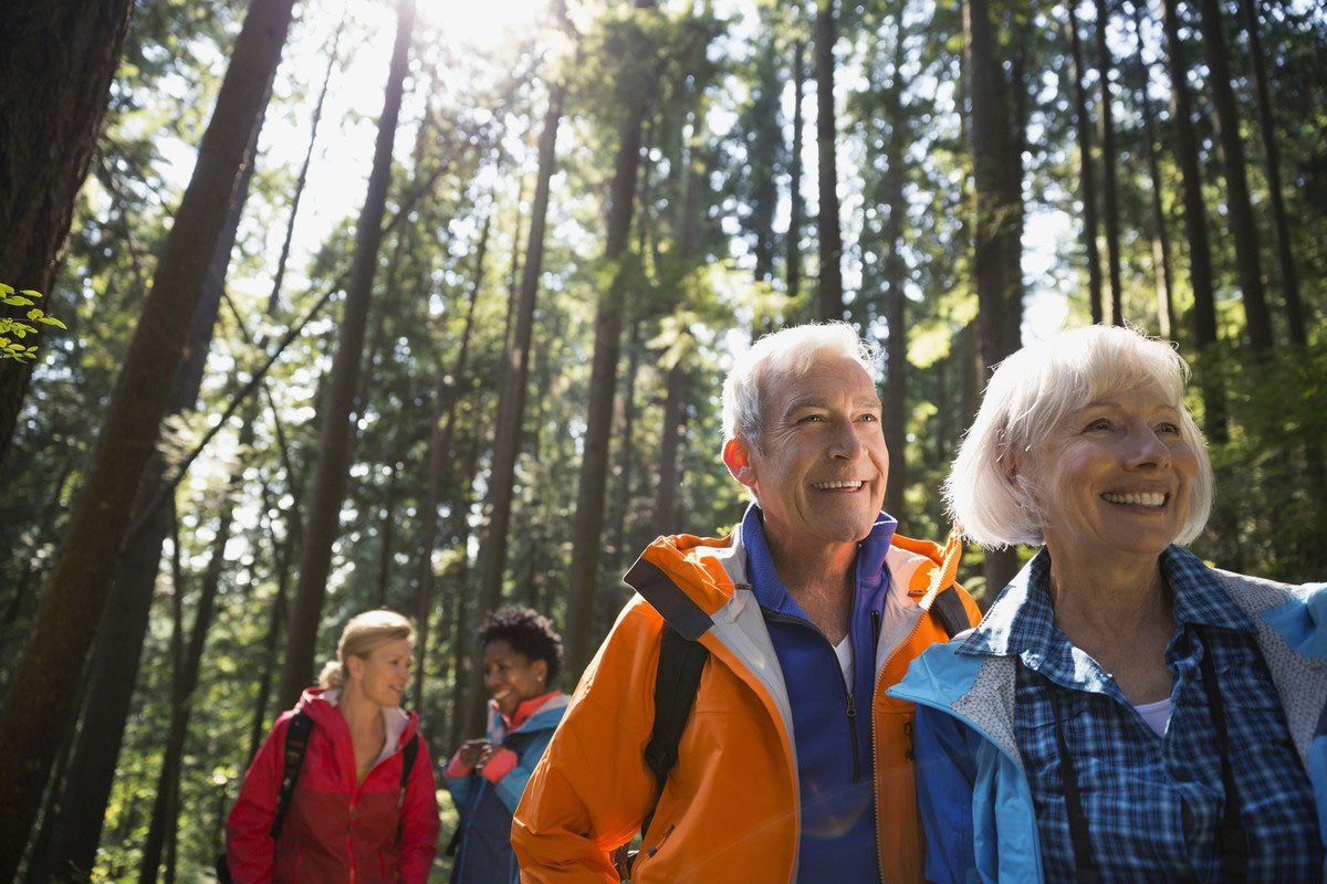 Personnes qui randonnent en forêt.