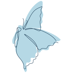Papillon bleu.