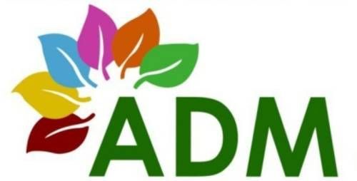 ADM-Services-Sàrl_logo
