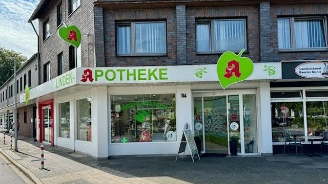 msm pflanzen dngen Zimmerpflanzen Dnger, Monstera Dnger, 6 Monate Depotwirkung  PlantMe