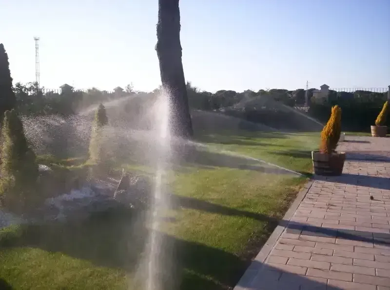 Un aspersor está rociando agua sobre un exuberante campo verde.