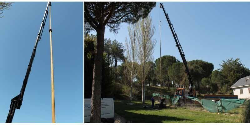 Una grúa está levantando un árbol en un parque.