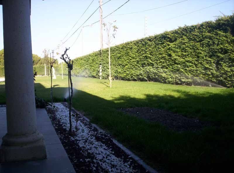 Un aspersor de césped está rociando agua sobre un exuberante campo verde.