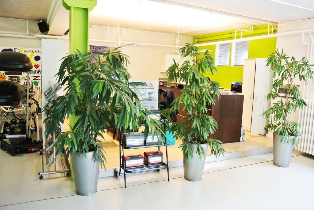 Saab - Frohberg Garage GmbH - Schaffhausen