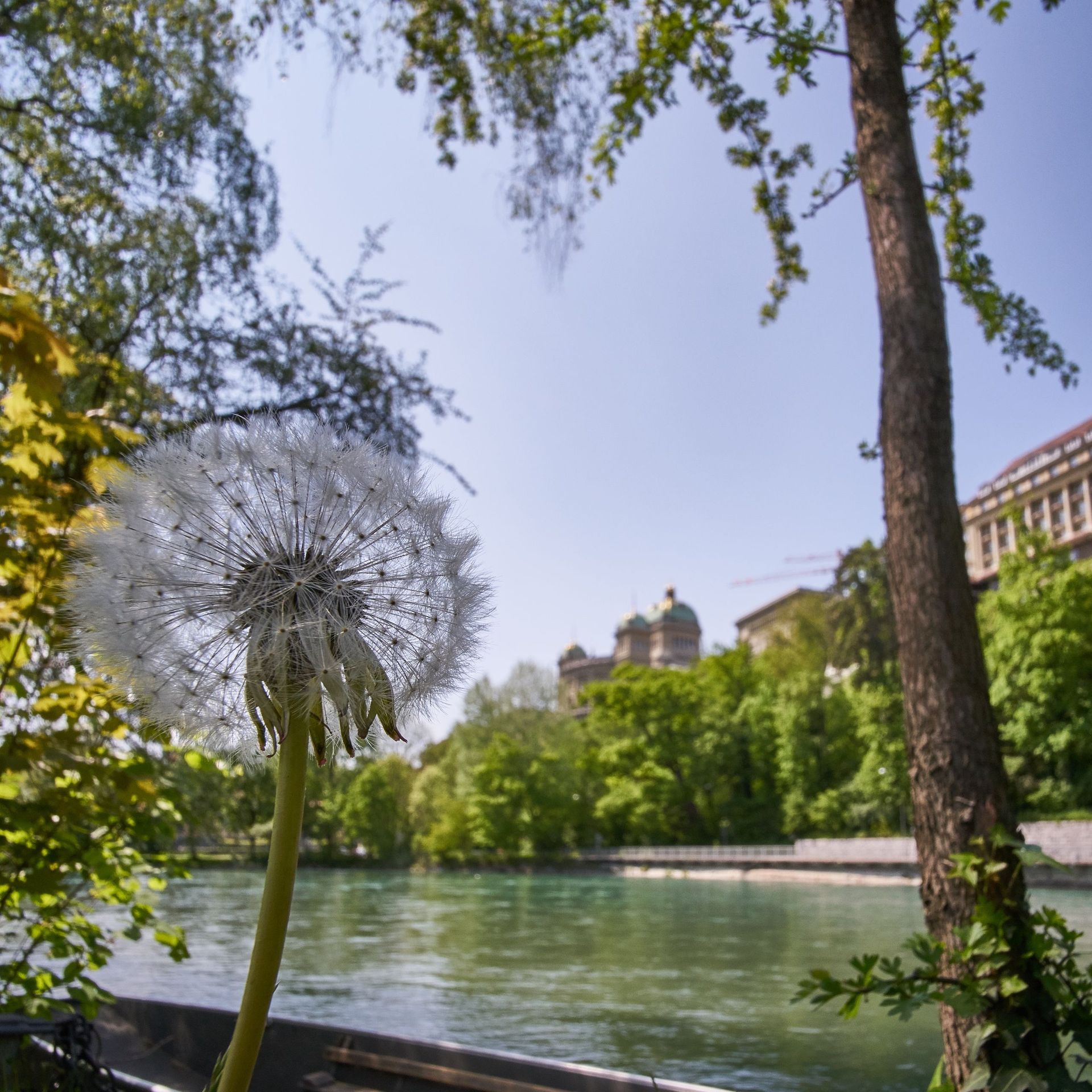 Translation – Business English Consulting GmbH – Bern