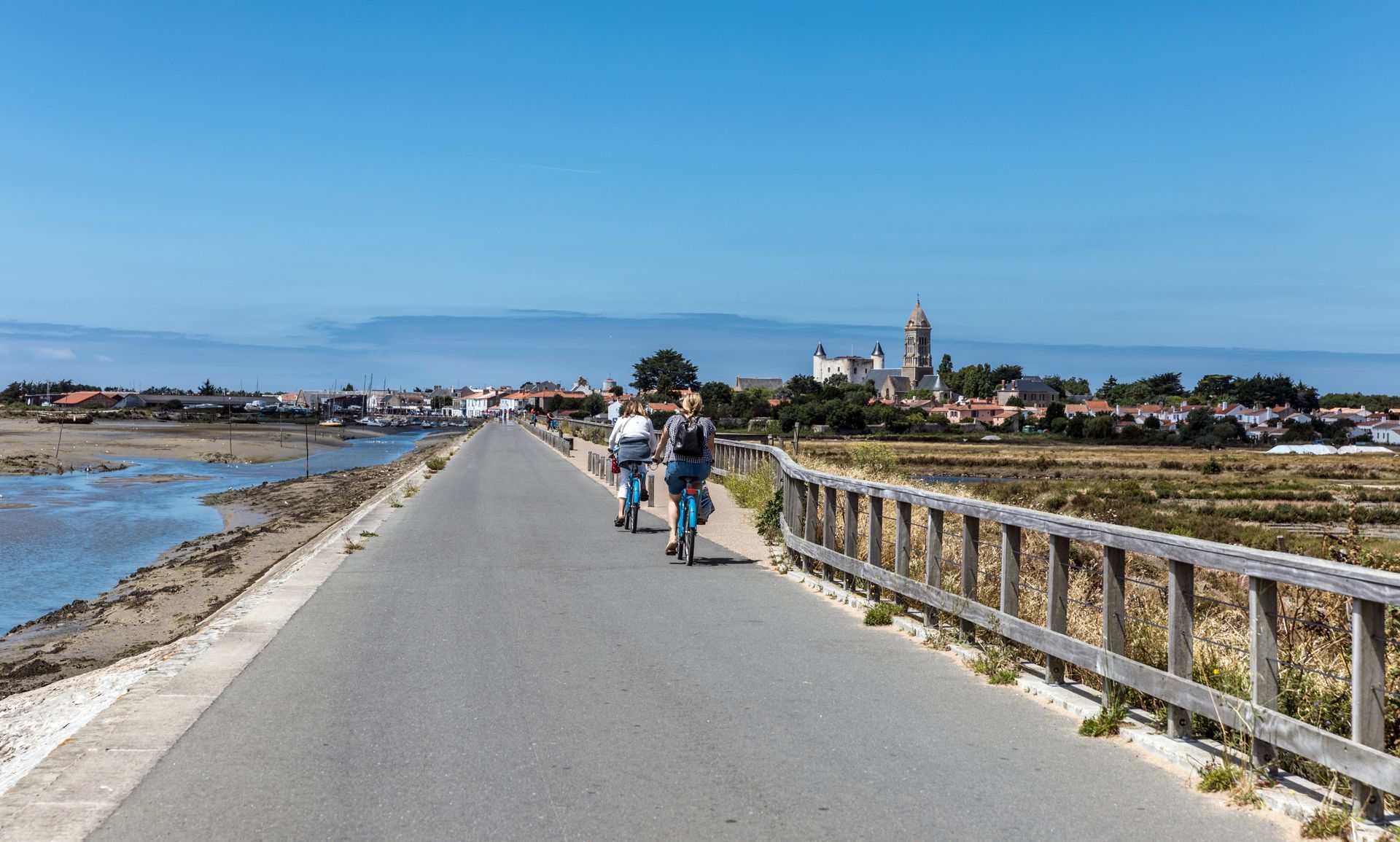 Des cyclistes sur une route en bord de mer
