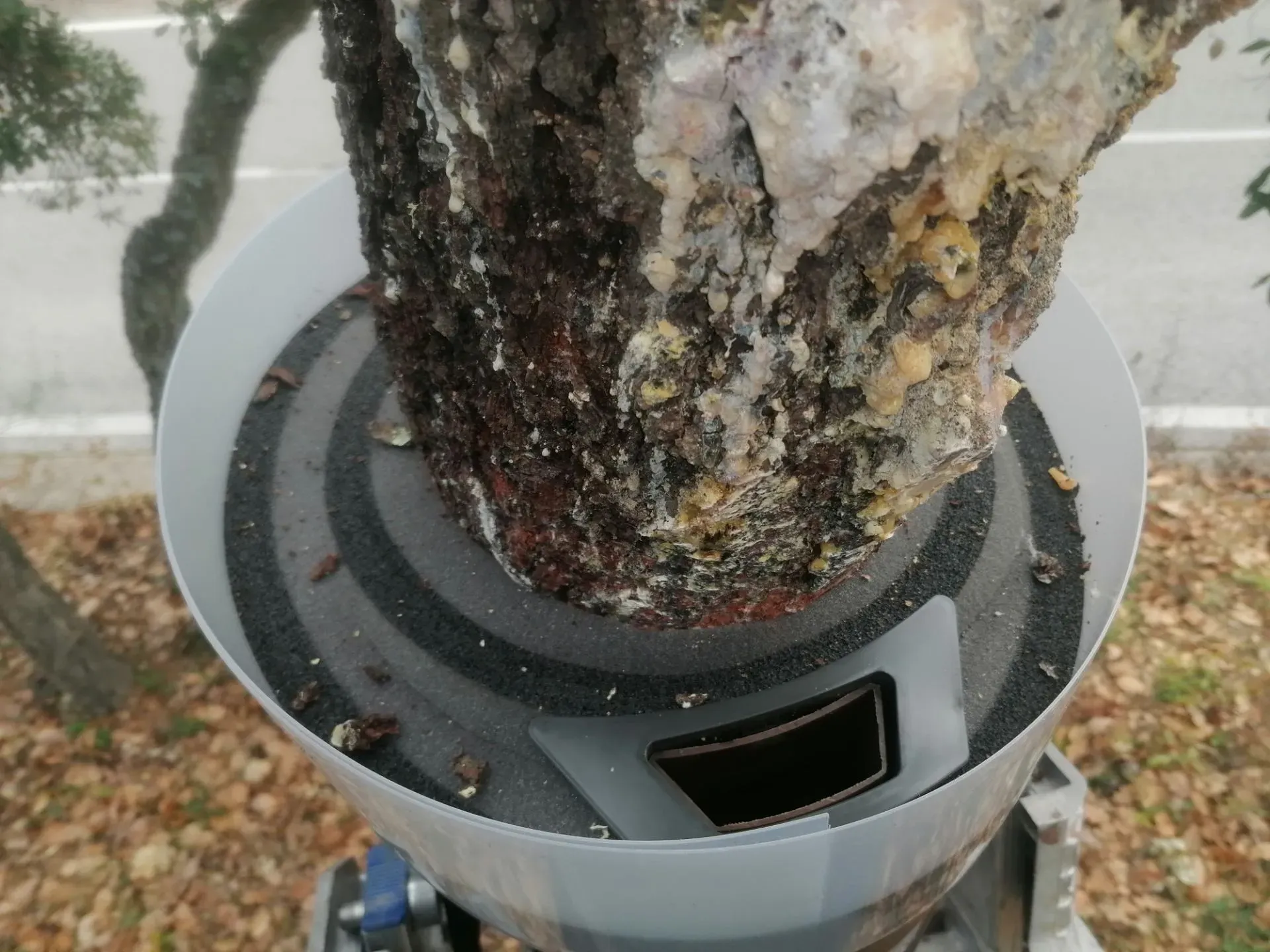 Installation d'un écopiège