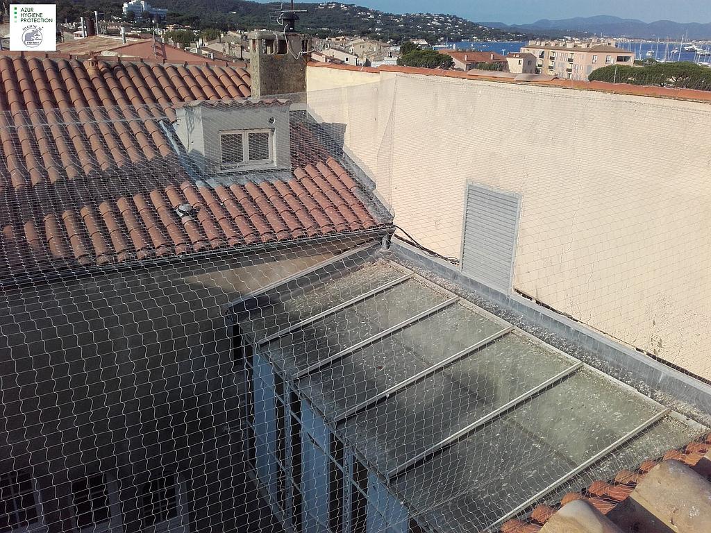 Grillage antivolatile au-dessus d'une cours intérieure