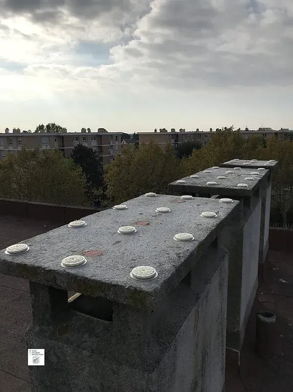 Protection contre les volatiles