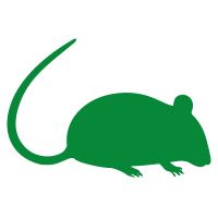 Pictogramme représentant un rat