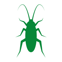 Pictogramme représentant un insecte
