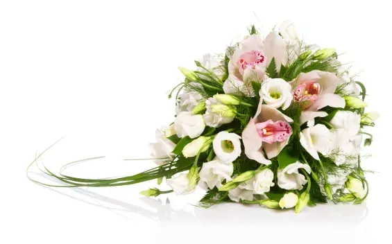 Ein Strauß weißer und rosa Blumen auf weißem Hintergrund.