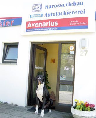 Hund vor der Autolackiererei Avenarius
