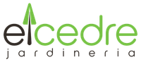 EL CEDRE