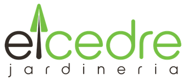 EL CEDRE