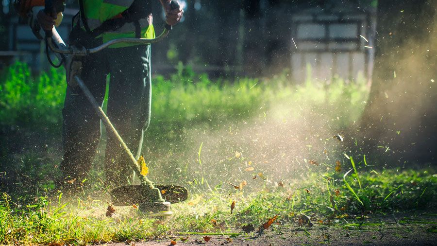 Un homme en train de débroussailler de l'herbe