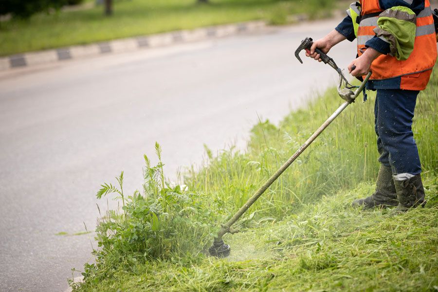 Un homme en train de débroussailler de l'herbe à côté d'une route