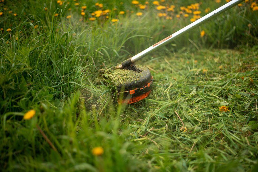 Débroussailleuse en train de couper de l'herbe